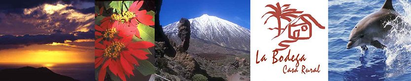 Tenerife La Bodega self catering cottages, san miguel, canary islands