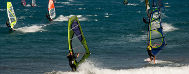 wind surfing in el medano tenerife.